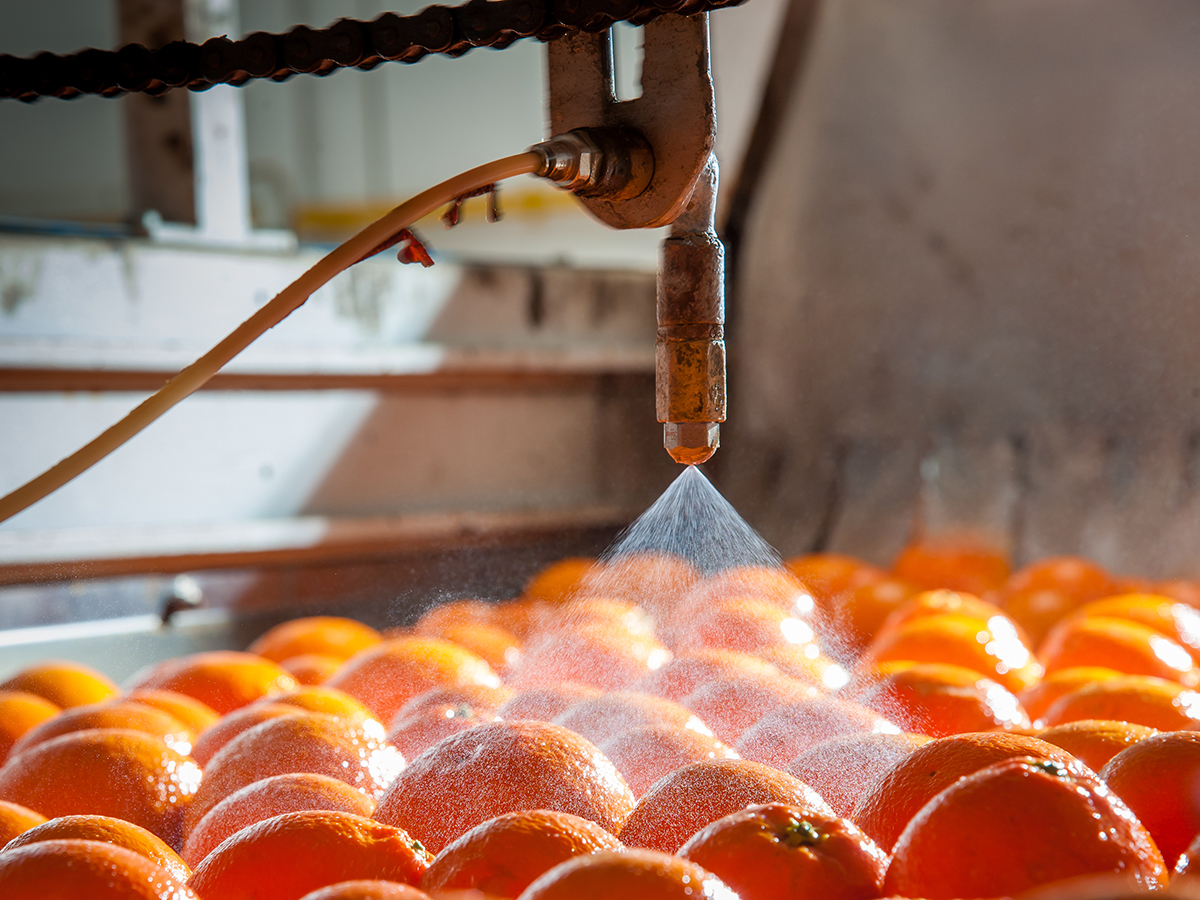 Acqua nelle industrie alimentari