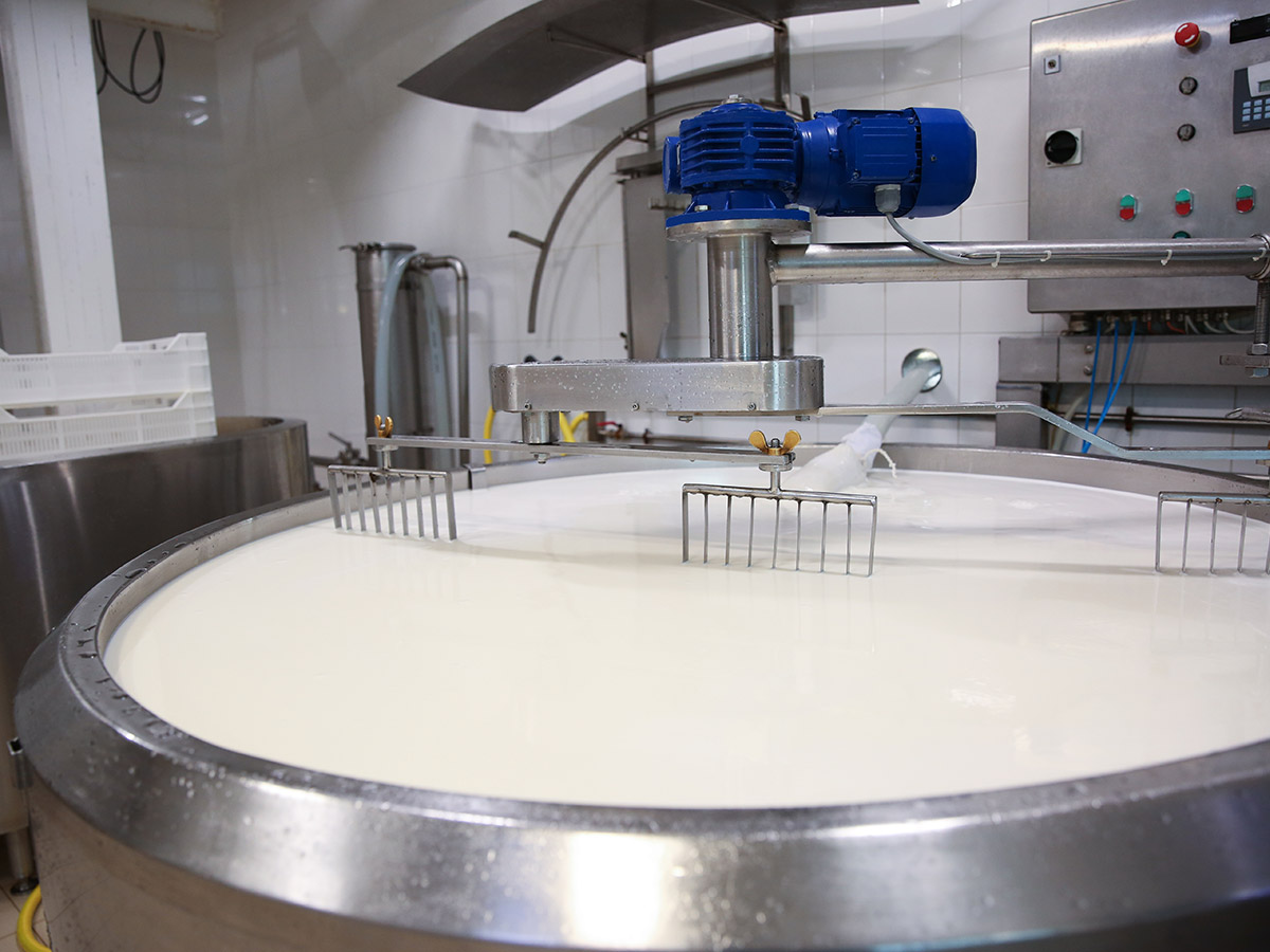 Wastewater from companies making dairy products, cheese and packaging milk