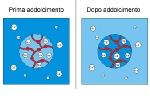 Addolcimento prima e dopo